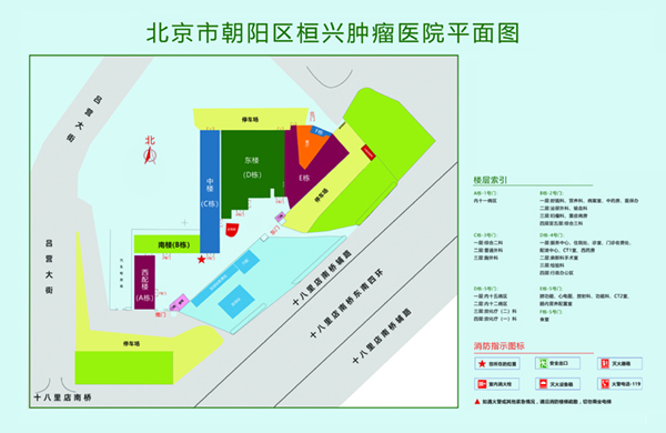 肉棒插逼视频北京市朝阳区桓兴肿瘤医院平面图